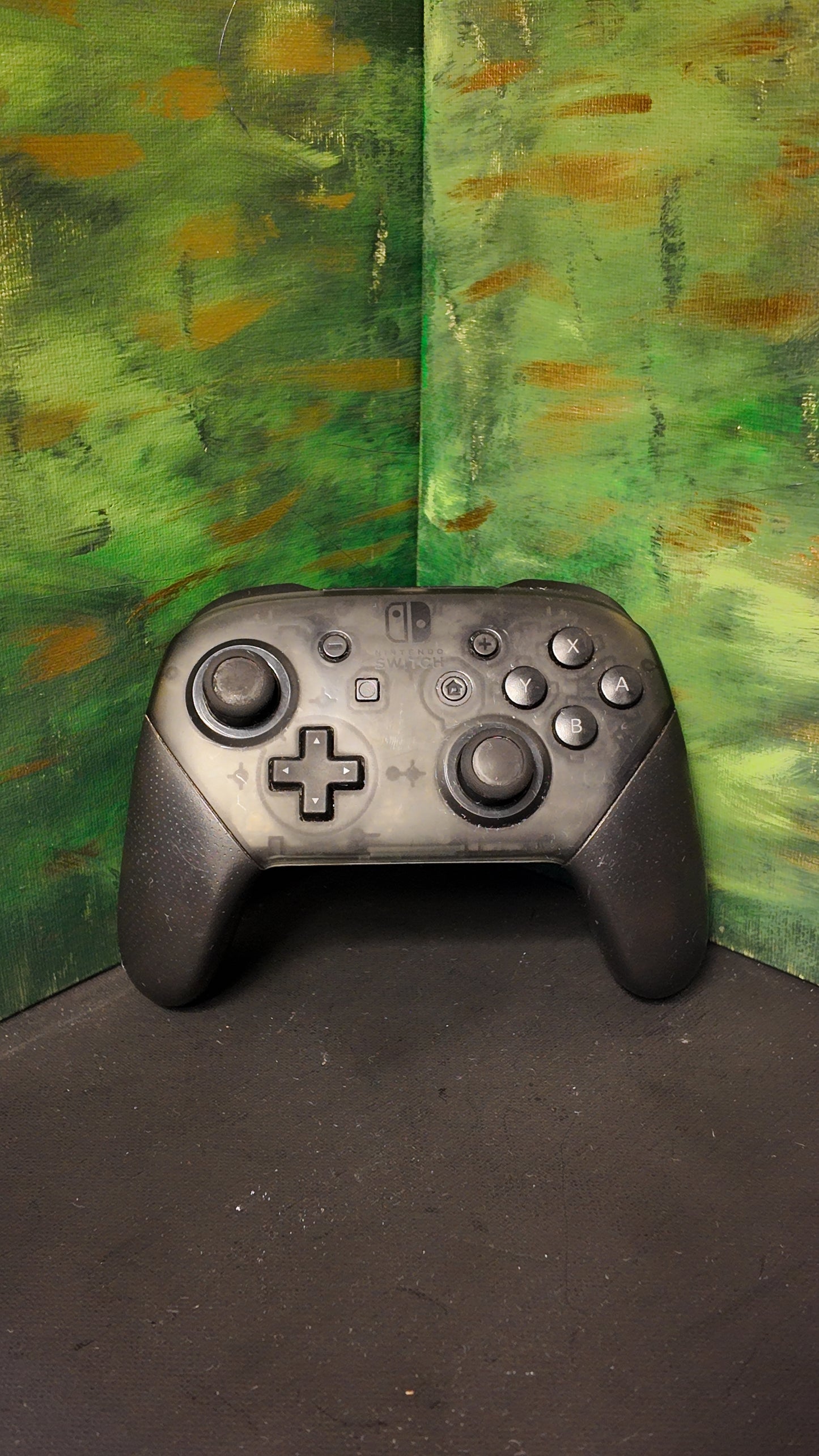 Nintendo Switch Pro Controller