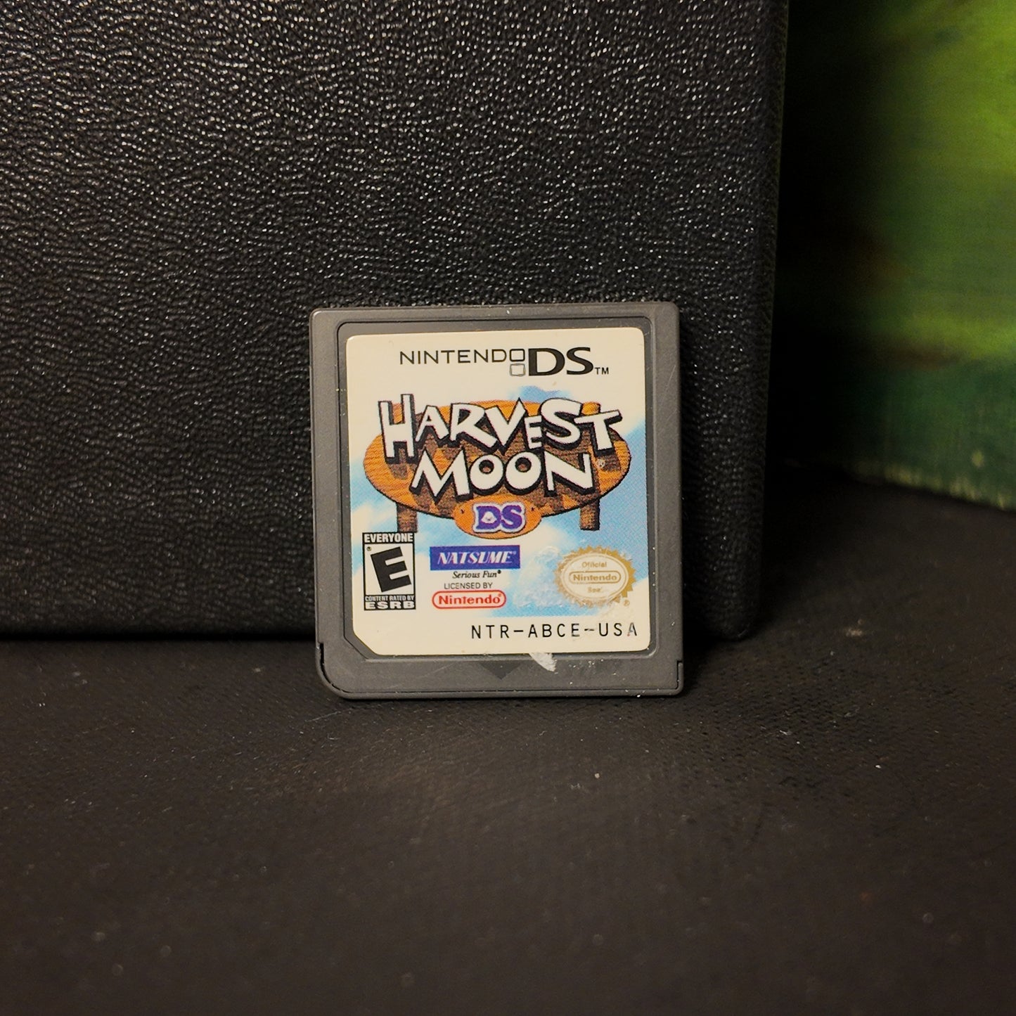 Harvest Moon DS