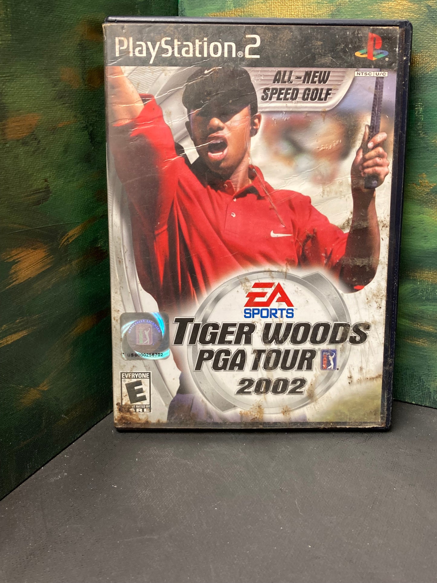 Tiger Woods PGA Tour 2002