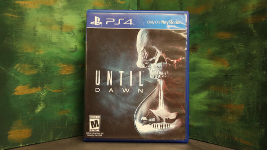 Until Dawn